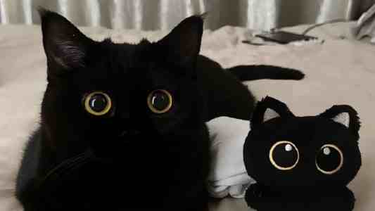 18 视频｜剪辑新手必须避开的10个常见错误