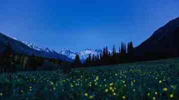 超200项国家标准呵护儿童成长